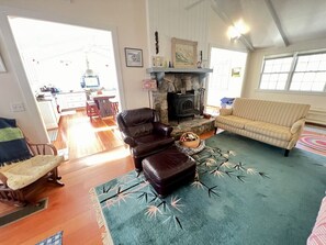 Smart TV, fireplace, books