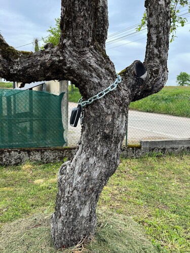 le Cocon Vézerontin