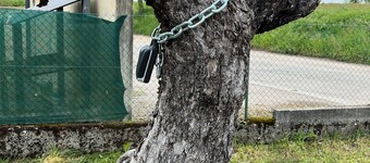 le Cocon Vézerontin