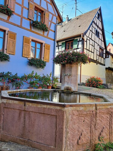 Grand gîte dans maison alsacienne historique à colombages 12/14 personnes