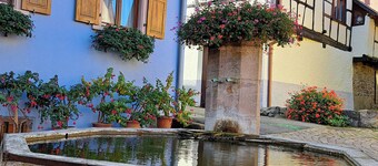 Large gîte in historic Alsatian half-timbered house for 12/14 people