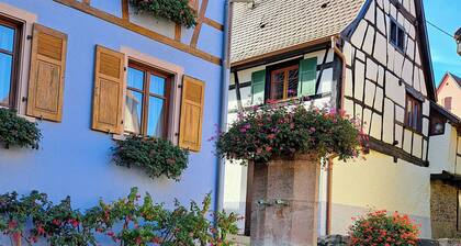 Large gîte in historic Alsatian half-timbered house for 12/14 people