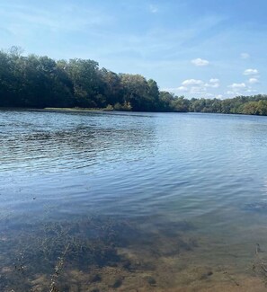 A calm lake with clear water, surrounded by dense trees and a clear sky. - Riverfront Tiny Home - Amazing Views (Strawberry Plains)