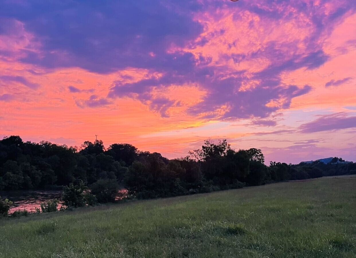 A sunset over a grassy field with trees in the background.