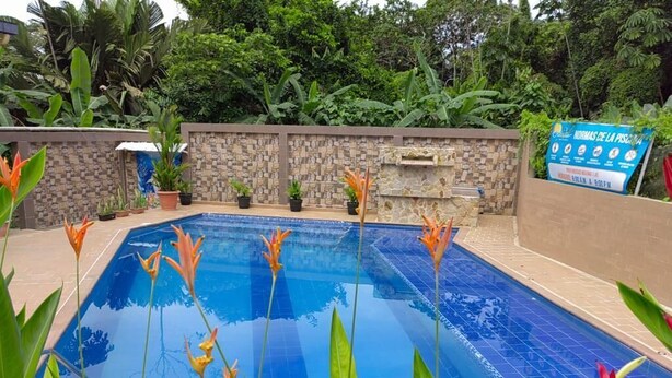 A swimming pool with a tiled edge, surrounded by a stone wall and lush greenery.