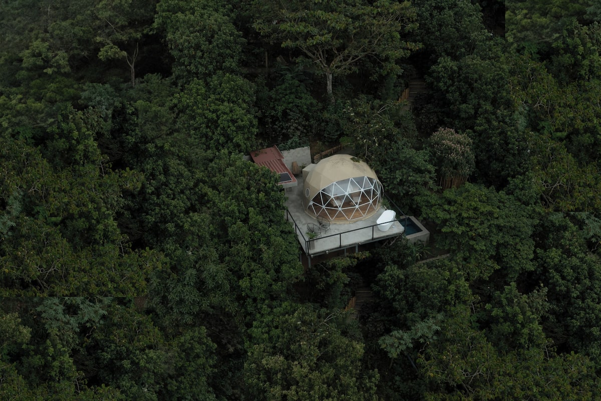 Un edificio de forma abovedada rodeado de un bosque denso.