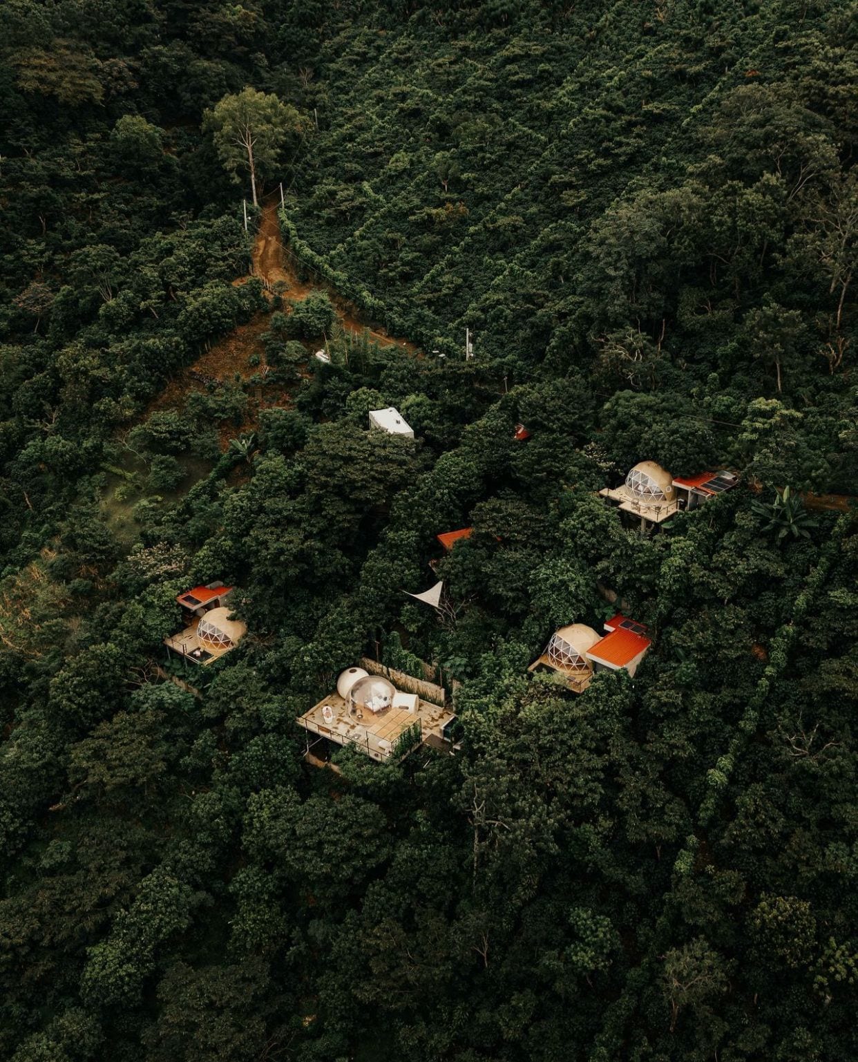 An aerial view of a forested area with several dome-shaped buildings, each with a red roof, surrounded by dense green foliage.