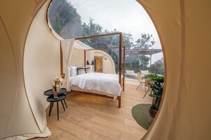 奢华客房 | 免费 WiFi