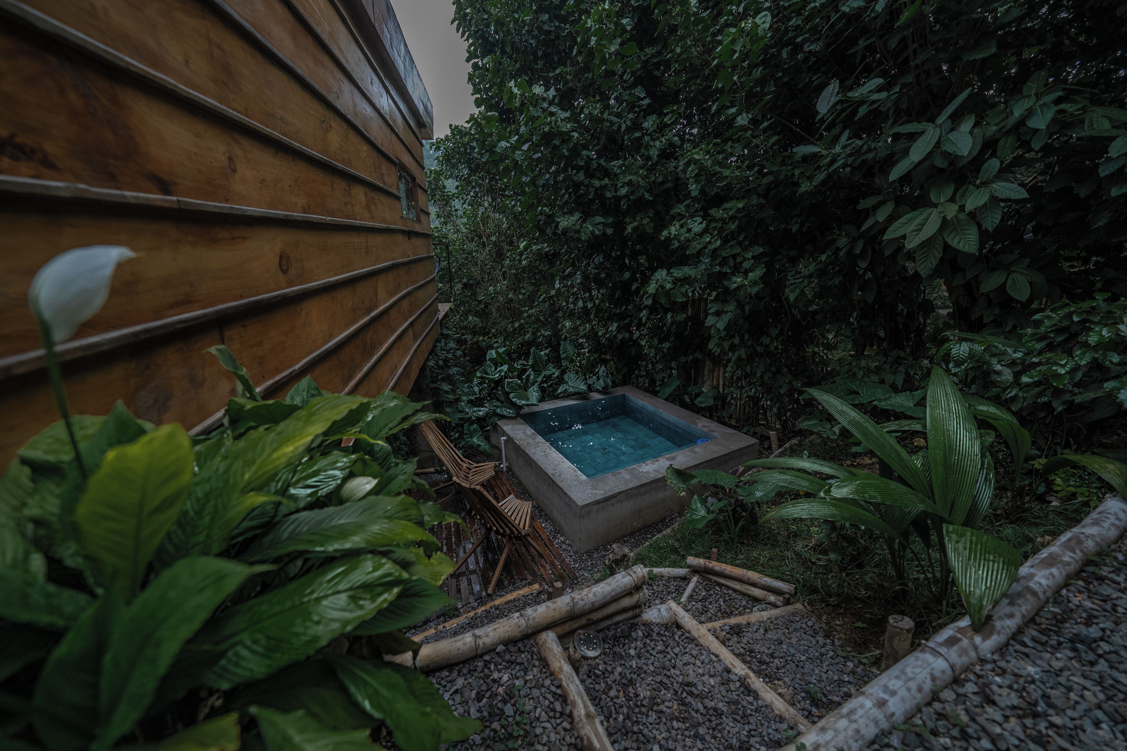 Un jardín con jacuzzi, cerca de madera y abundante vegetación.