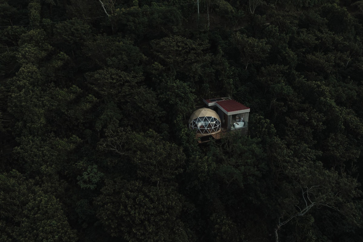 Vista aérea de un edificio en forma de cúpula rodeado de un bosque denso.