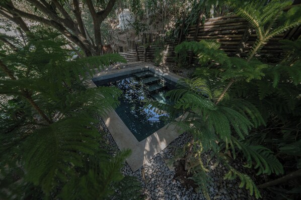 A small, square-shaped pool surrounded by dense greenery and a wooden fence. - Kafen Hotel  (Juayua)
