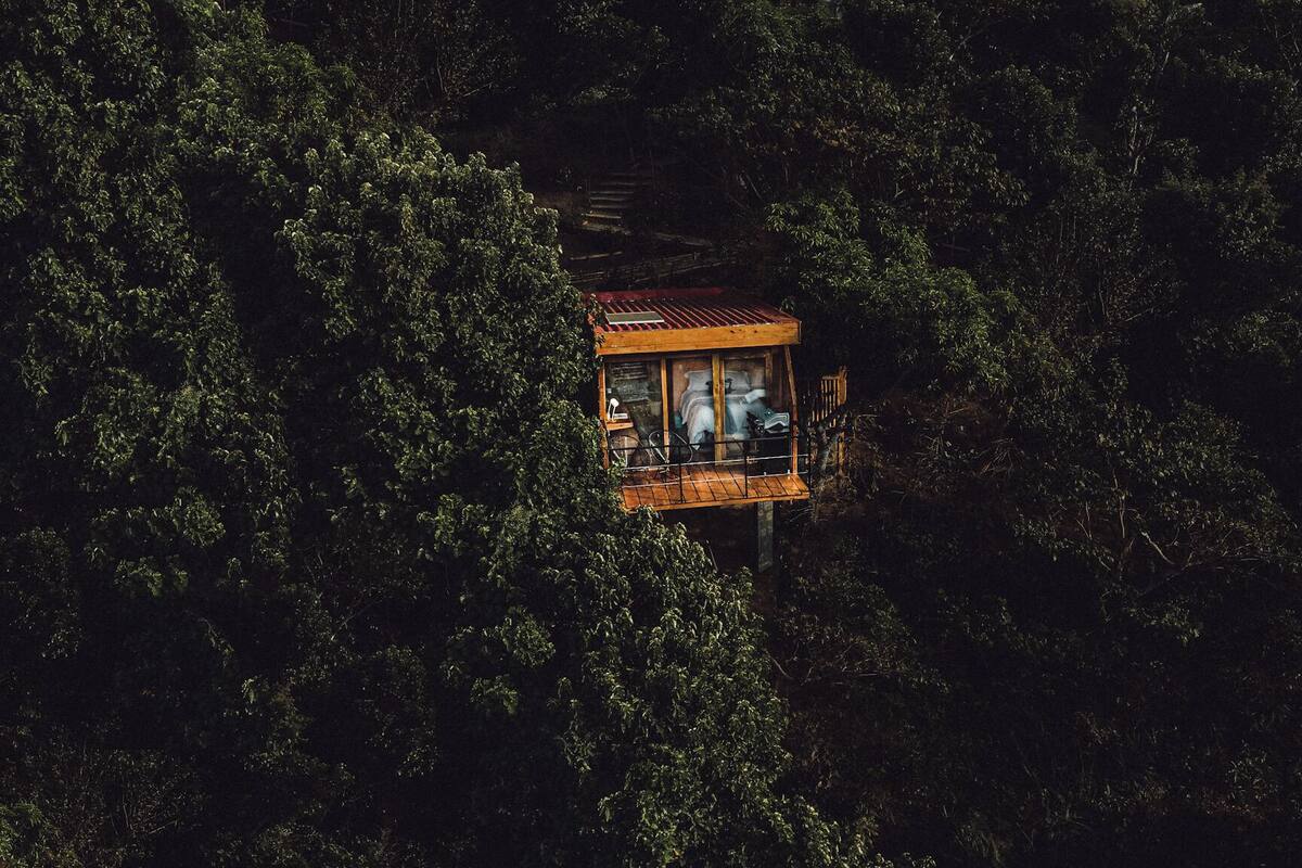 Una casa árbol con terraza de madera y paredes de vidrio, rodeada por un bosque denso.