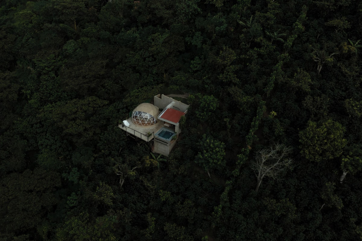 Vista aérea de un edificio en forma de cúpula rodeado de un bosque denso.