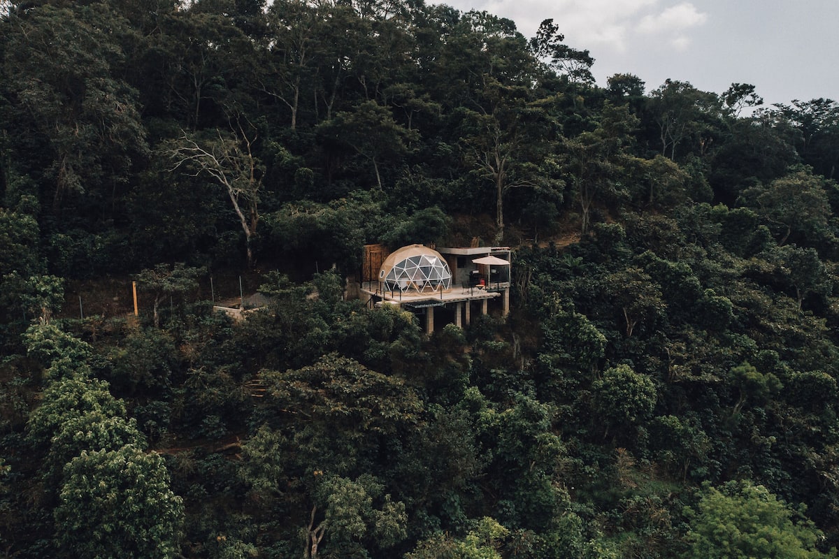 Un edificio de forma abovedada rodeado de un bosque frondoso.