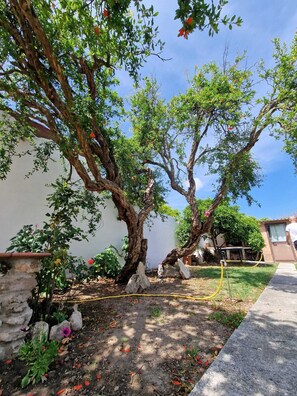 Enceinte de lâhĂ©bergement