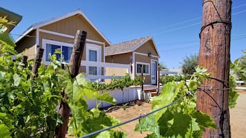 Habitación estándar, 1 cama King size | Terraza o patio