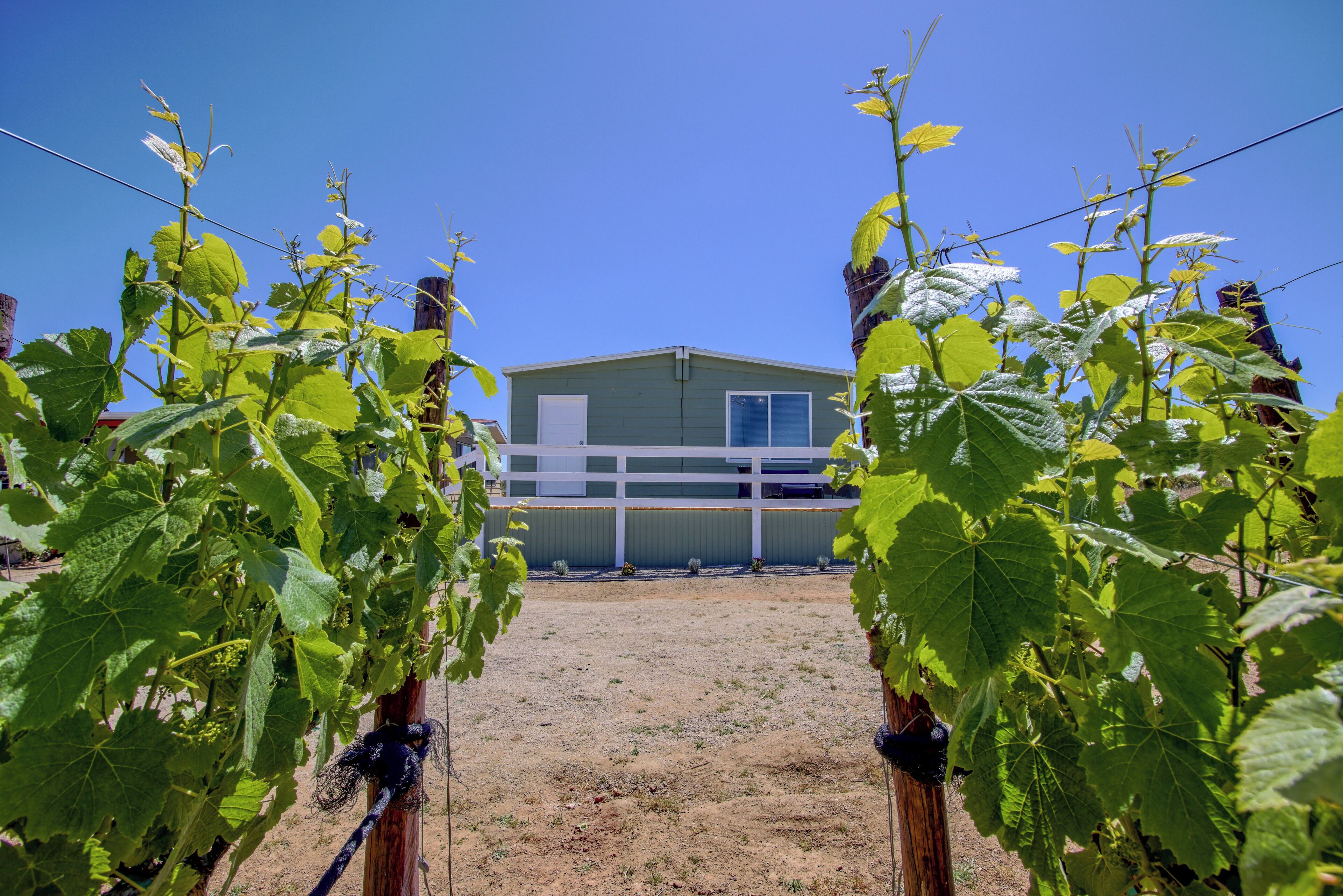 Foto - 3333 Luz Del Valle Hotel Boutique