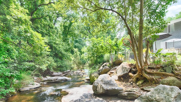 Un cadre naturel en plein air, avec un ruisseau, des rochers et des arbres.
