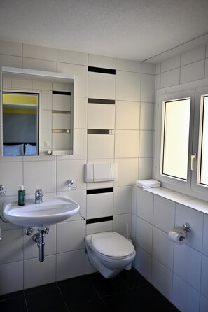 Hair dryer, towels, soap, toilet paper