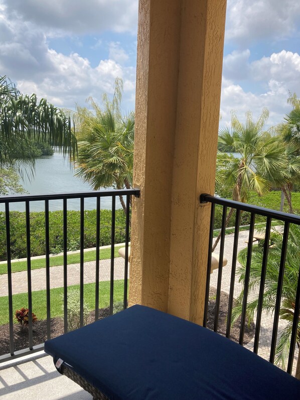 Property grounds - Affordable Luxury in Clearwater Old Tampa Bay. Water view! (Clearwater)