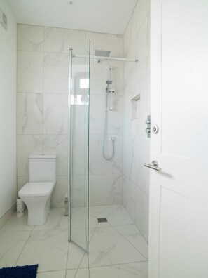 Une salle de bain moderne avec une douche à parois de verre, des toilettes et une porte blanche.