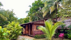 Een houten chalet met veranda, omgeven door weelderige begroeiing en diverse planten.