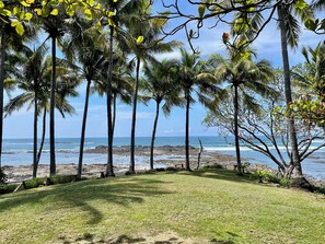 A grassy area with palm trees and a view of the ocean. - Magic place with ocean view & direct beach access - A wood house in paradise (Los Pargos)