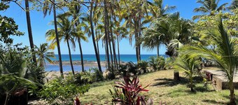 Magic place with ocean view & direct beach access - A wood house in paradise