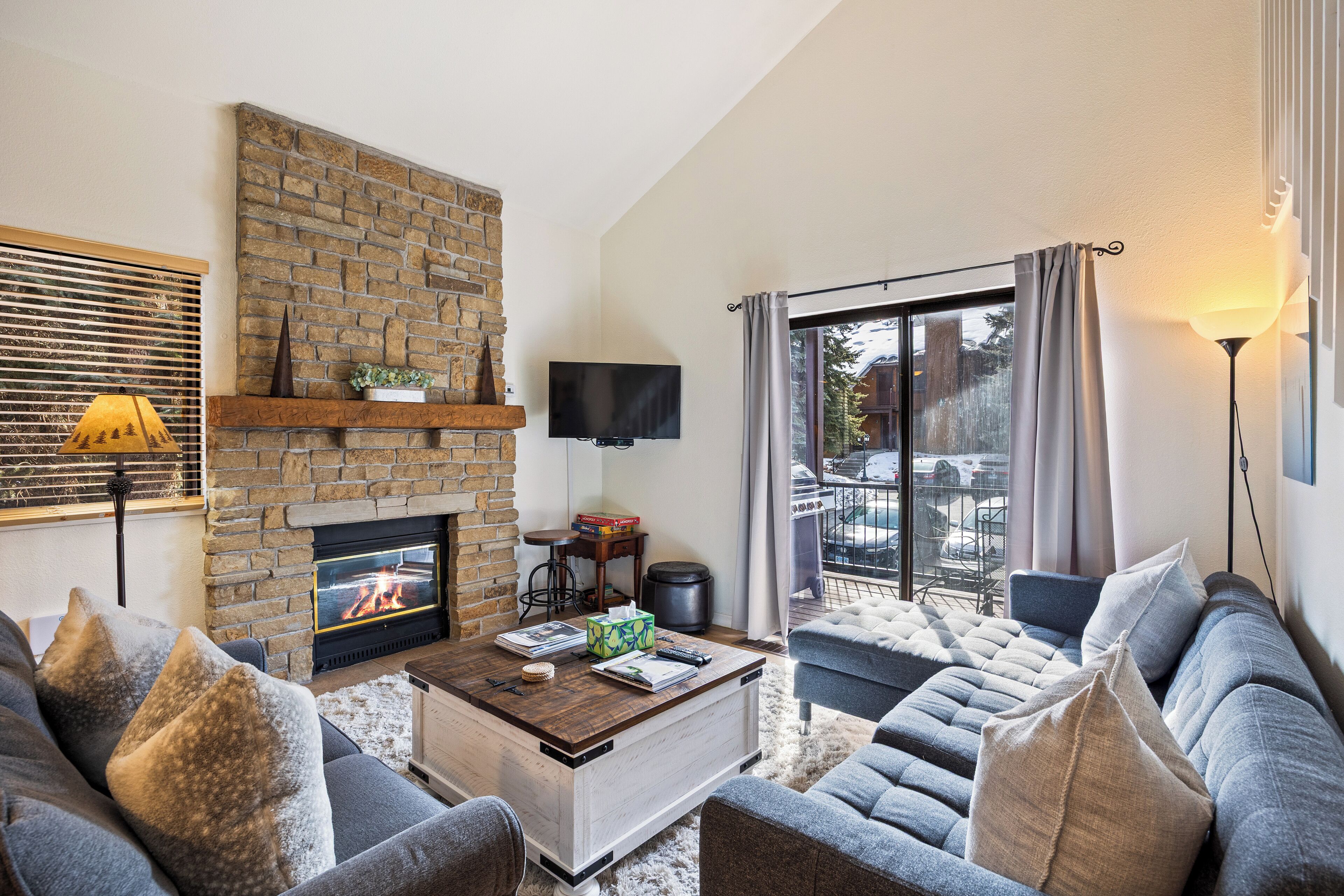 Smart TV, fireplace, DVD player, books