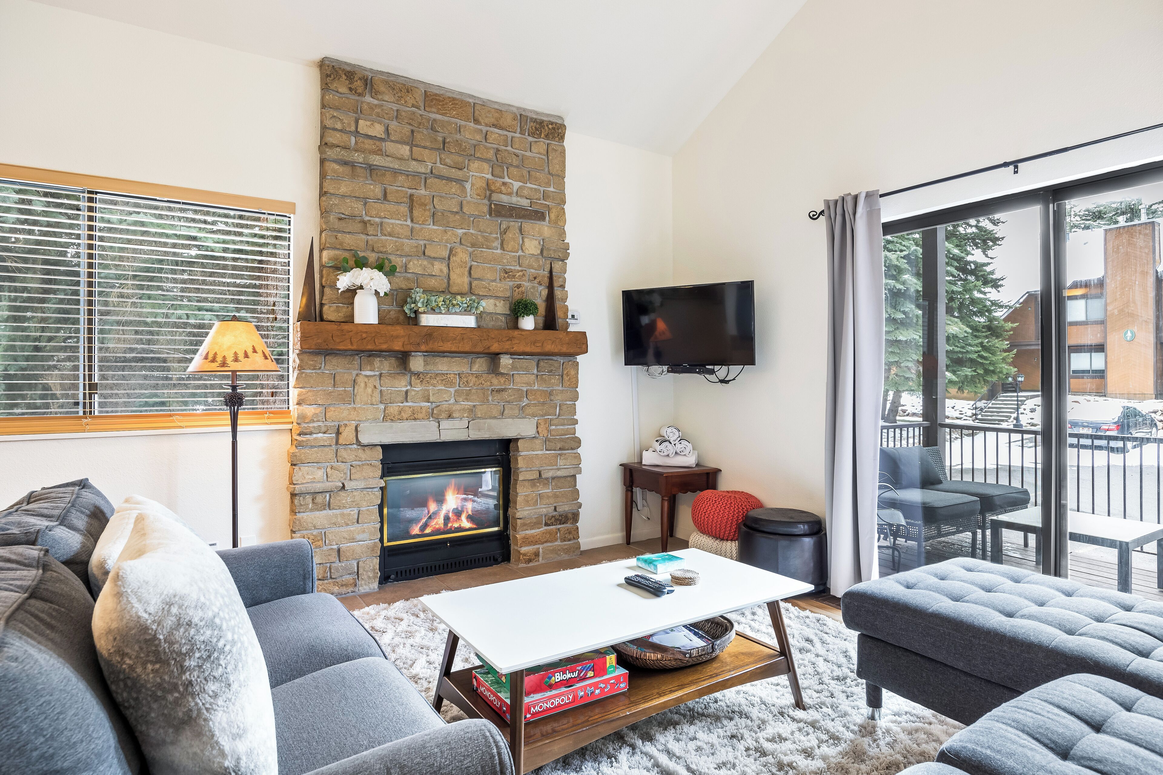 Smart TV, fireplace, DVD player, books