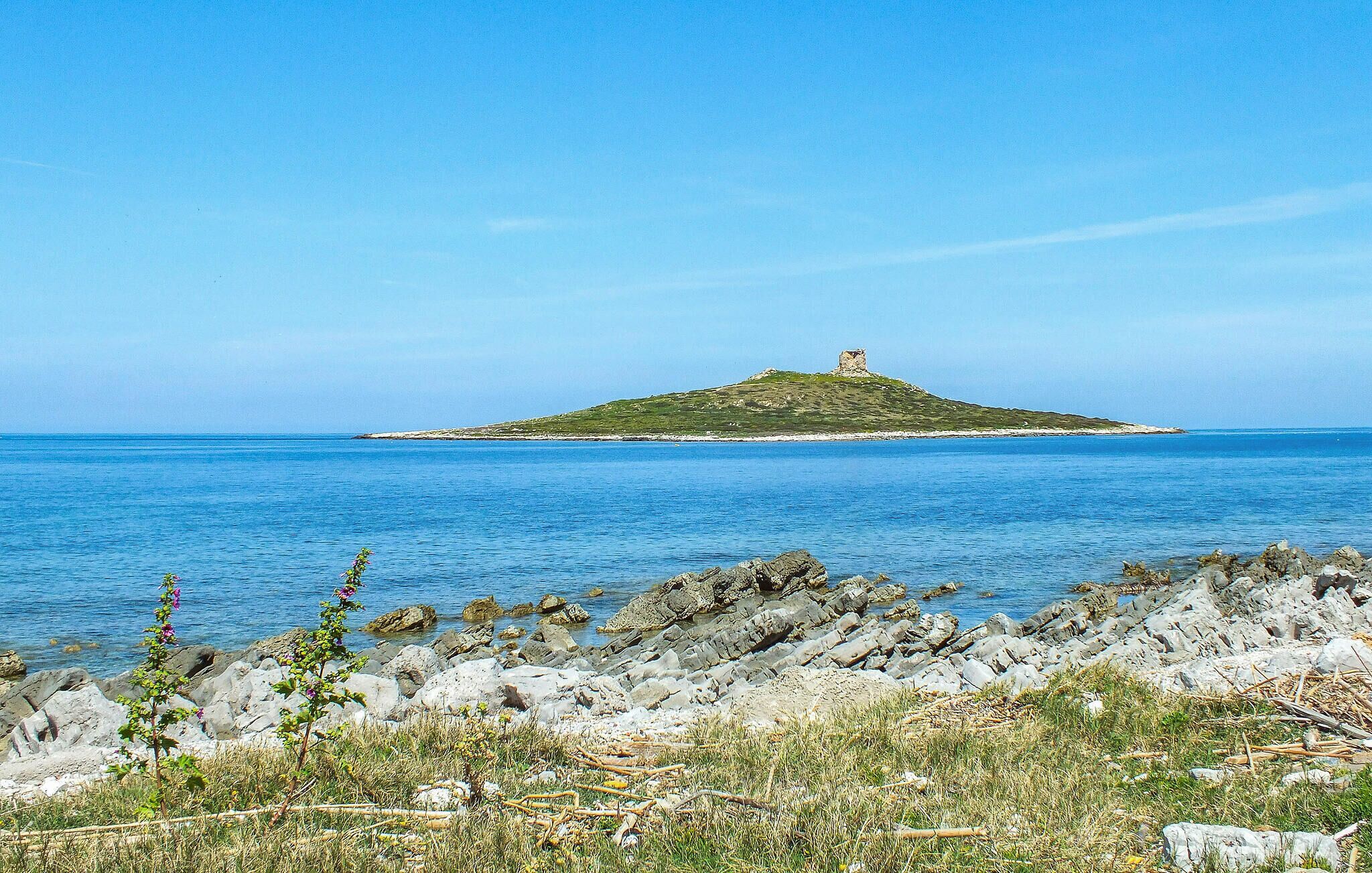 Une côte rocheuse avec une végétation clairsemée et une petite île sur laquelle on aperçoit une construction au loin.