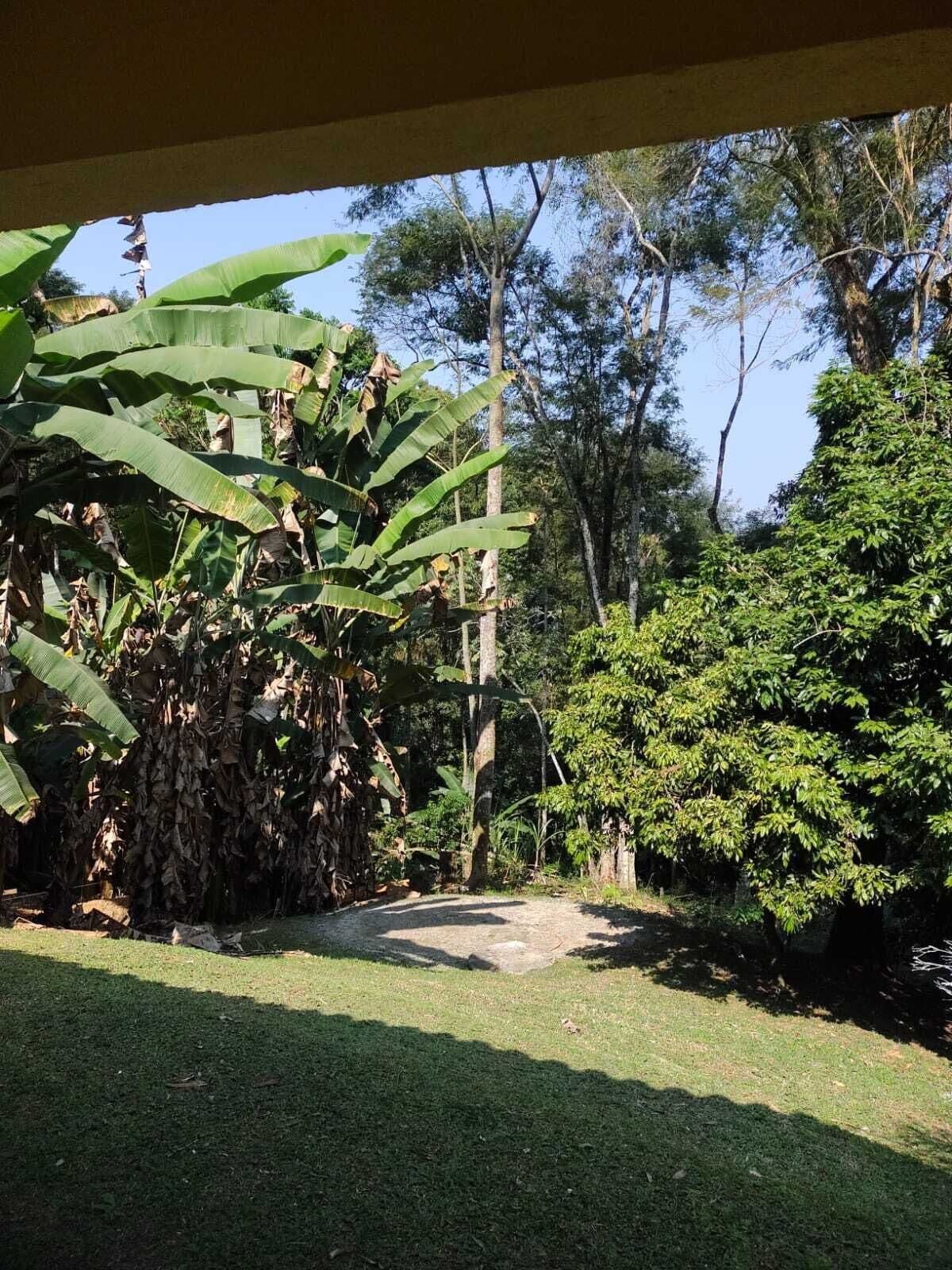 Luxury Quadruple Room, Valley View | View from room