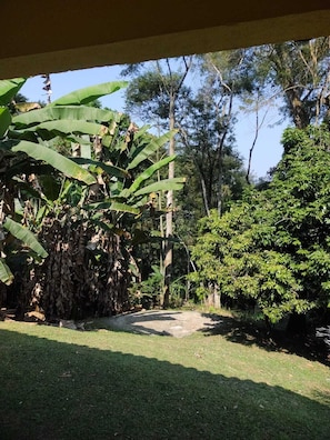 Chambre Quadruple Luxe, vue vallée | Vue de la chambre