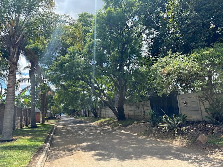Una calle bordeada de árboles, con un muro de ladrillo a un lado y una cerca al otro.