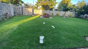 Een verzorgde achtertuin met een stenen muur, een kleine tuin en een grote boom die schaduw biedt.