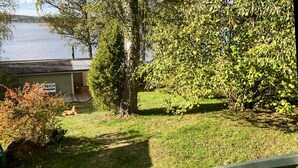 A grassy area with a dog, trees, and a building with a metal roof near a body of water. - Beautiful home in Tranås with lake view (Tranås)