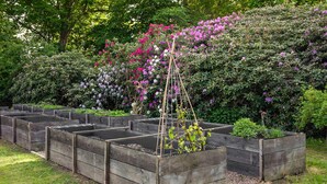 Raised garden beds in a garden setting. - 4 bedroom beautiful home in Fleninge (Fleninge)