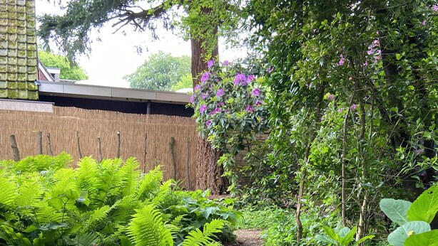 Un sentier de jardin dallé de briques, bordé d’un feuillage verdoyant et luxuriant et de plantes en fleurs.