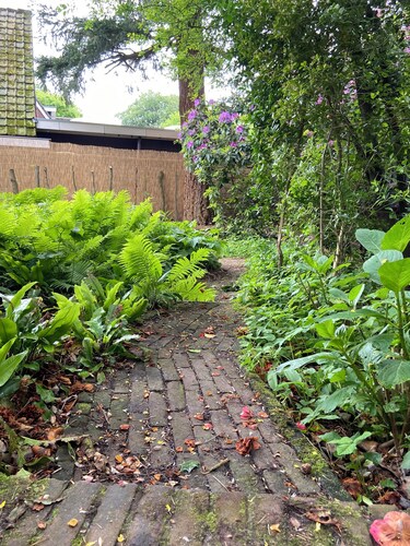 Centraal Gelegen Grote Villa op echt prachtige Locatie bij bos en en Centrum