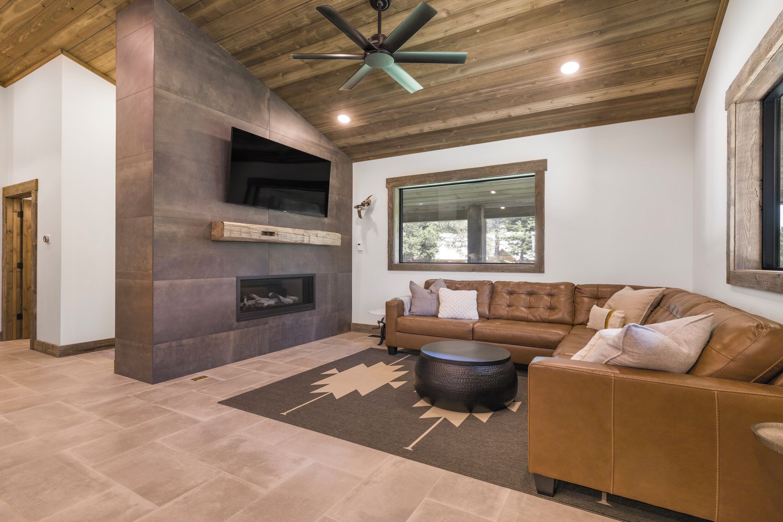 Smart TV, fireplace, books