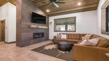 Smart TV, fireplace, books