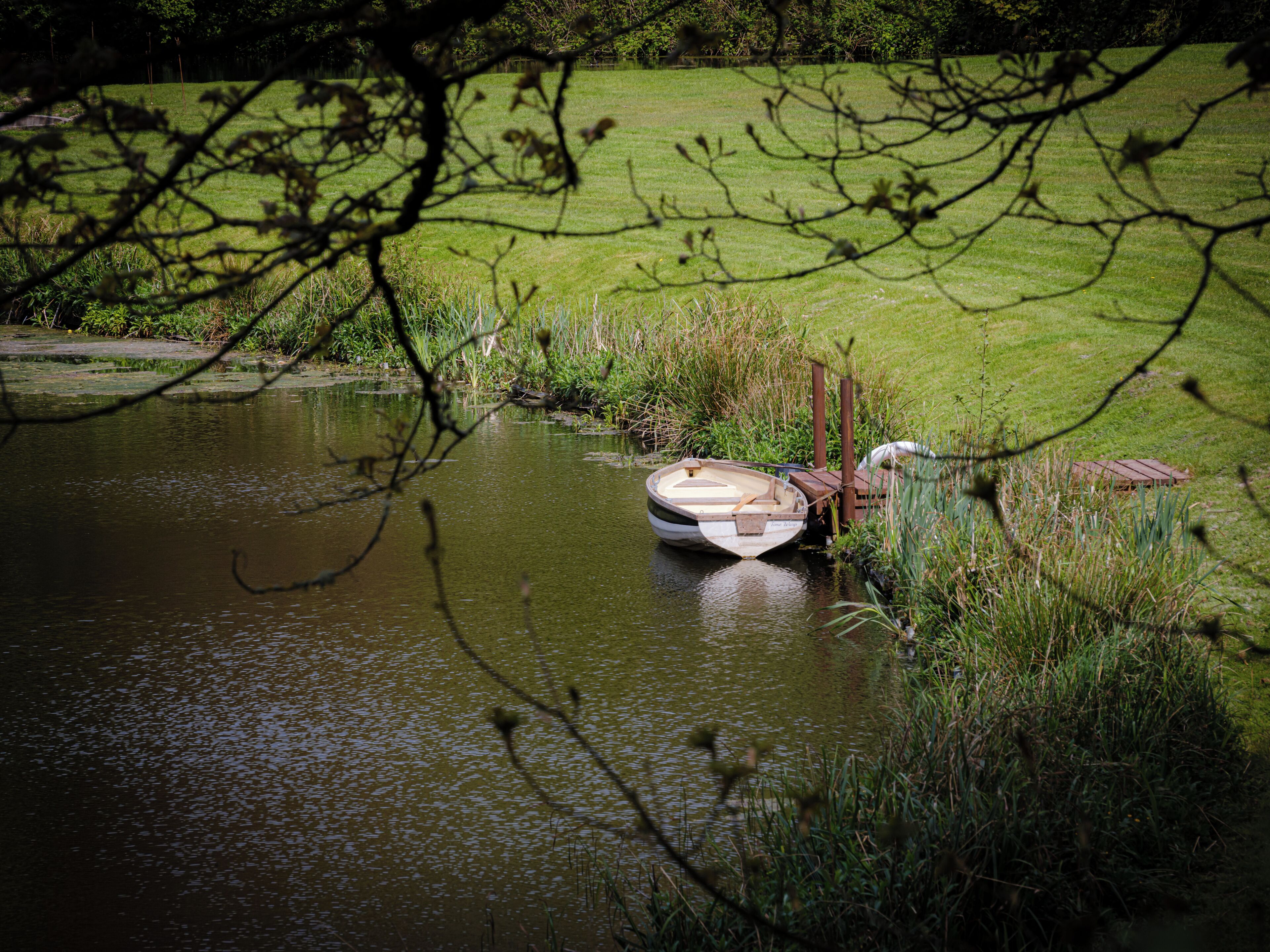 A small boat tied to a dock in a grassy area beside a body of water.
