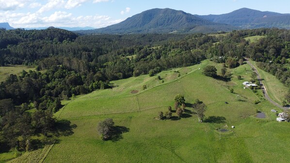 A rural landscape with rolling hills, scattered trees, and a road. - Stoney Chute Eco-Cabin 1 : accessible, quiet retreat 5km from Nimbin. (Nimbin)