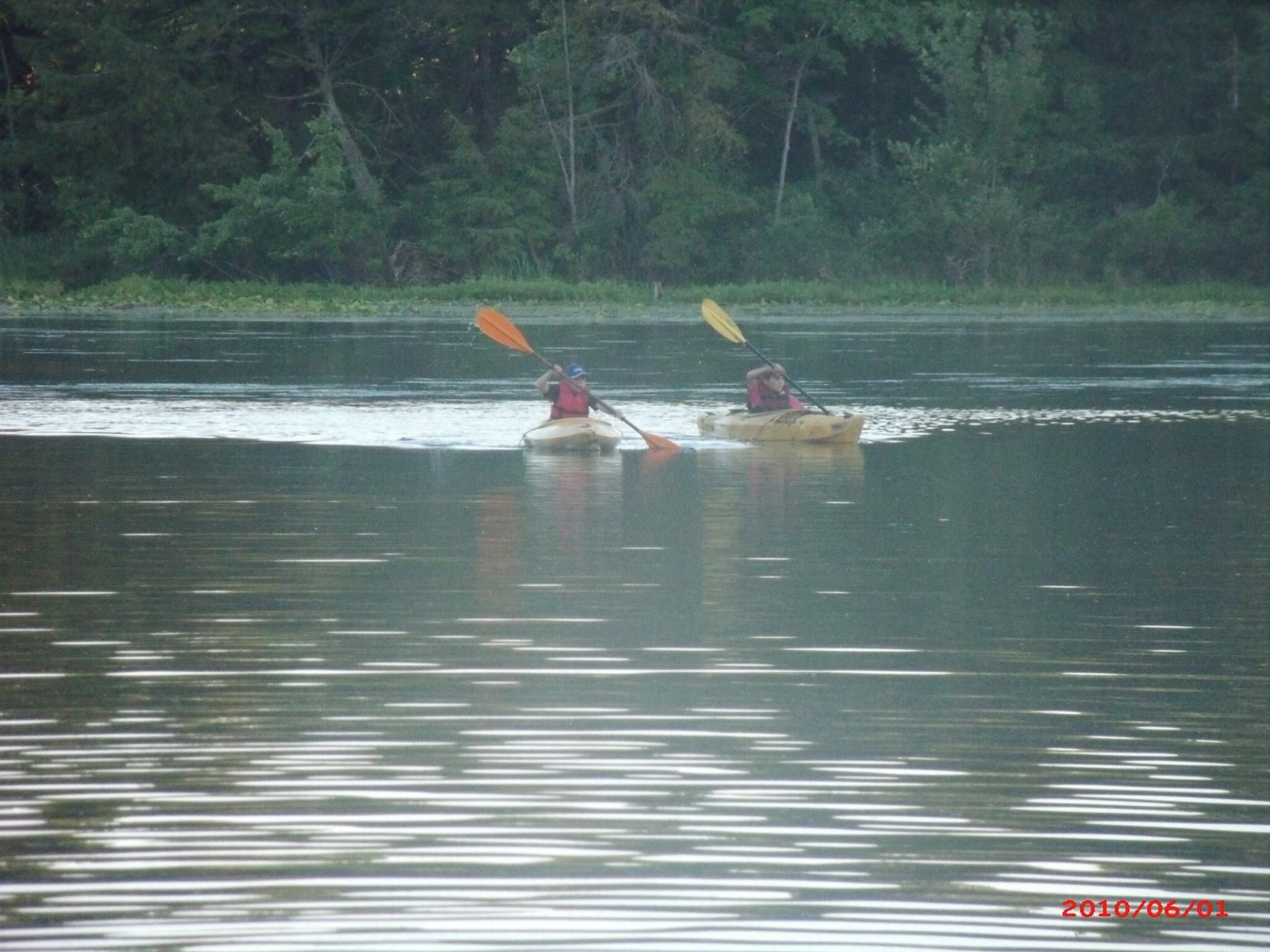 Two kayakers on a calm river surrounded by dense forest.