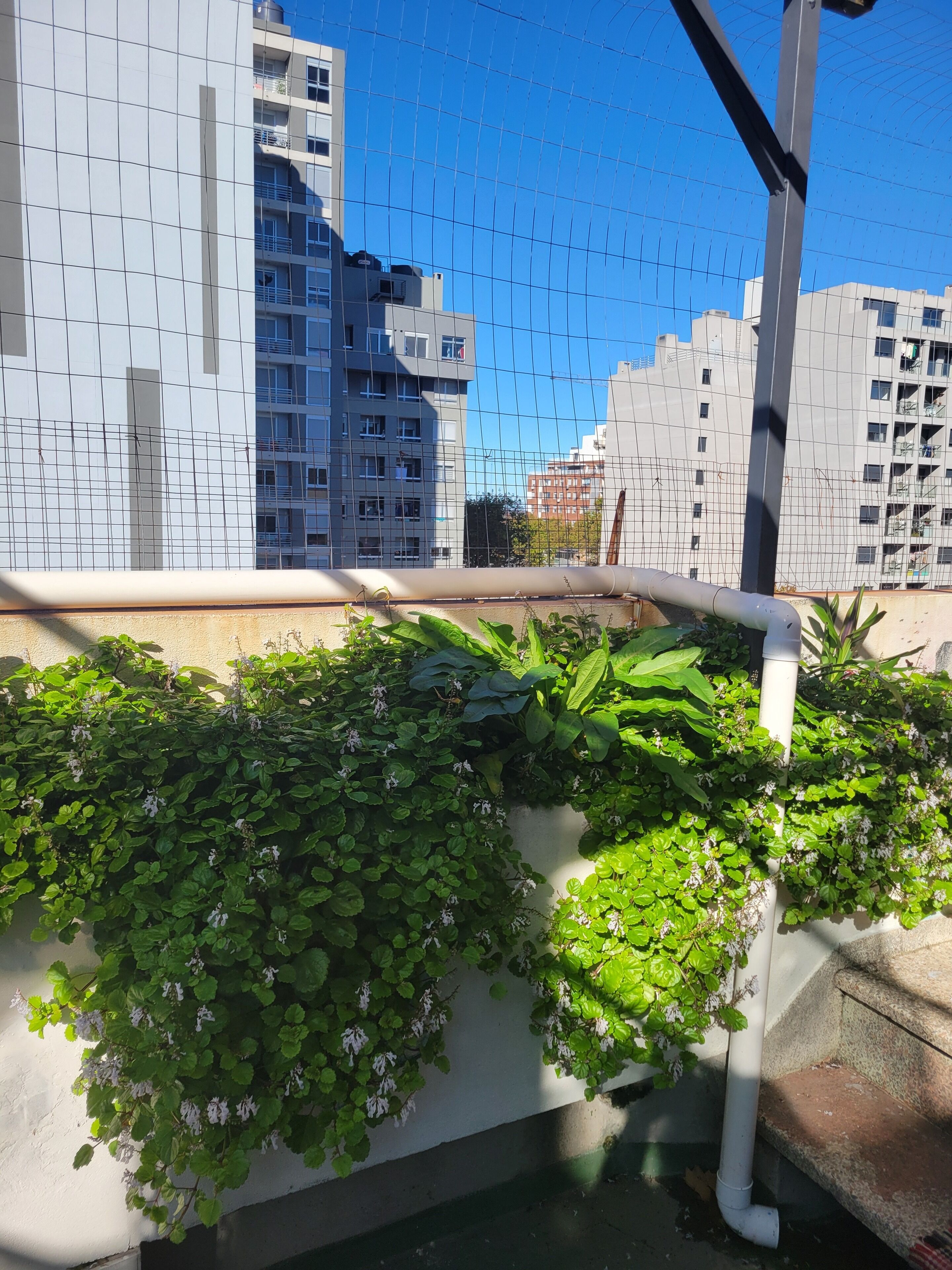 Photo - Montevideo Hostel