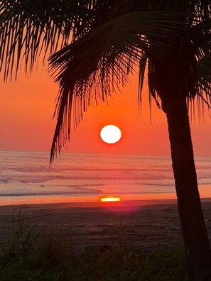 A sunset over the ocean with a palm tree in the foreground. - Pacific Ocean-Front Villa de Azul. stunning Sunrises & Sunsets, 3bd 2 full baths (Provincia de Puntarenas)