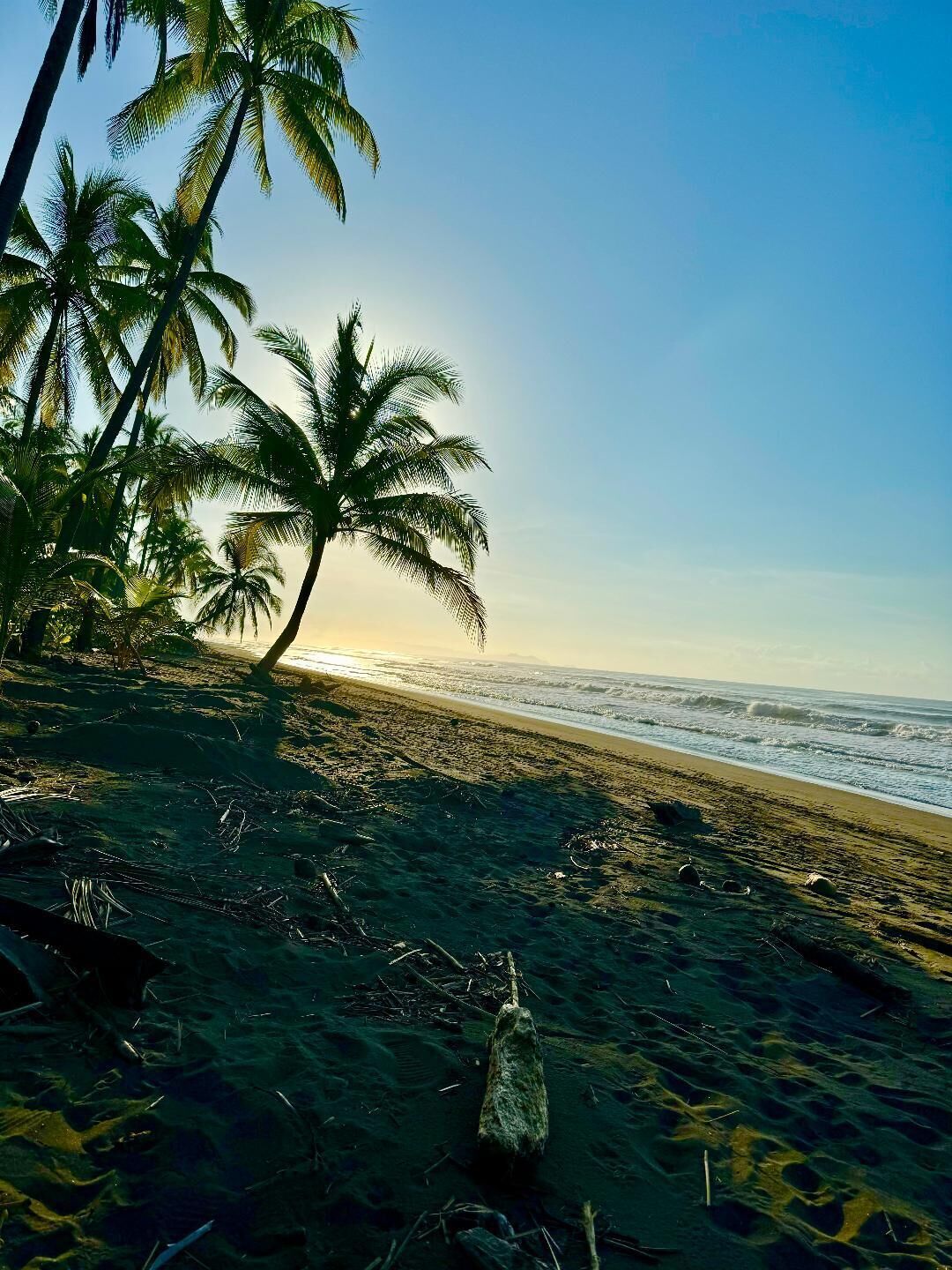 On the beach, sun loungers, beach towels