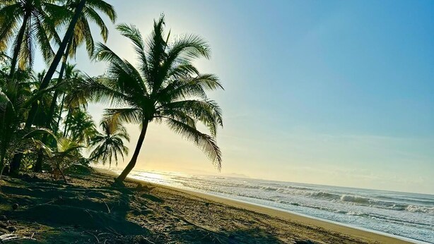 A beach with palm trees and a clear sky. - Pacific Ocean-Front Villa de Azul. stunning Sunrises & Sunsets, 3bd 2 full baths (Provincia de Puntarenas)