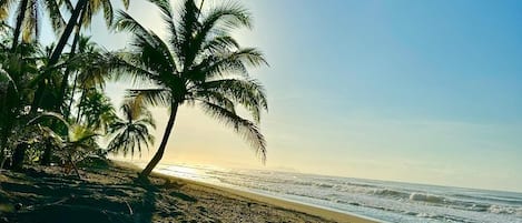 On the beach, sun-loungers, beach towels