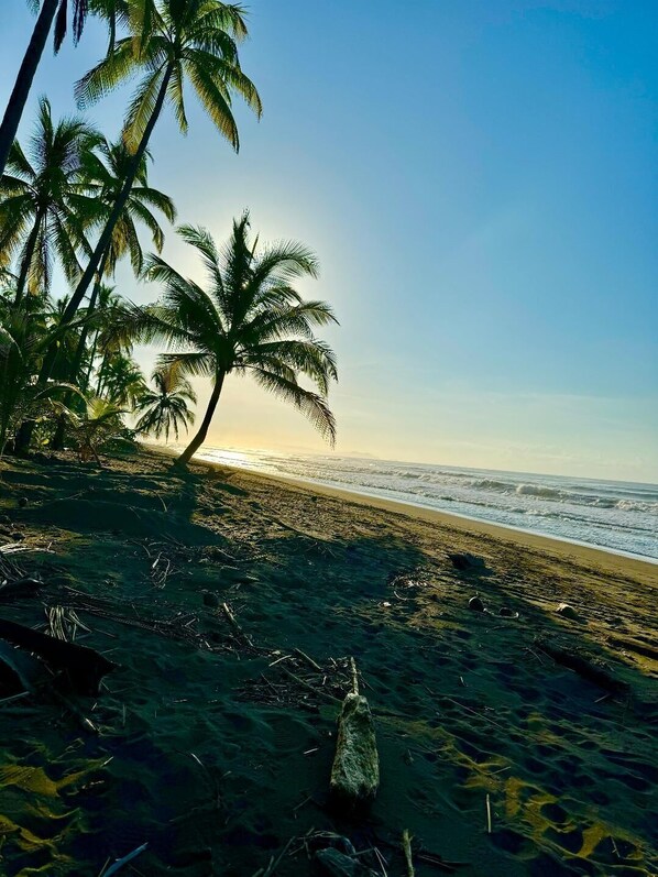 On the beach, sun-loungers, beach towels
